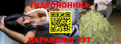 apvp Кизляр