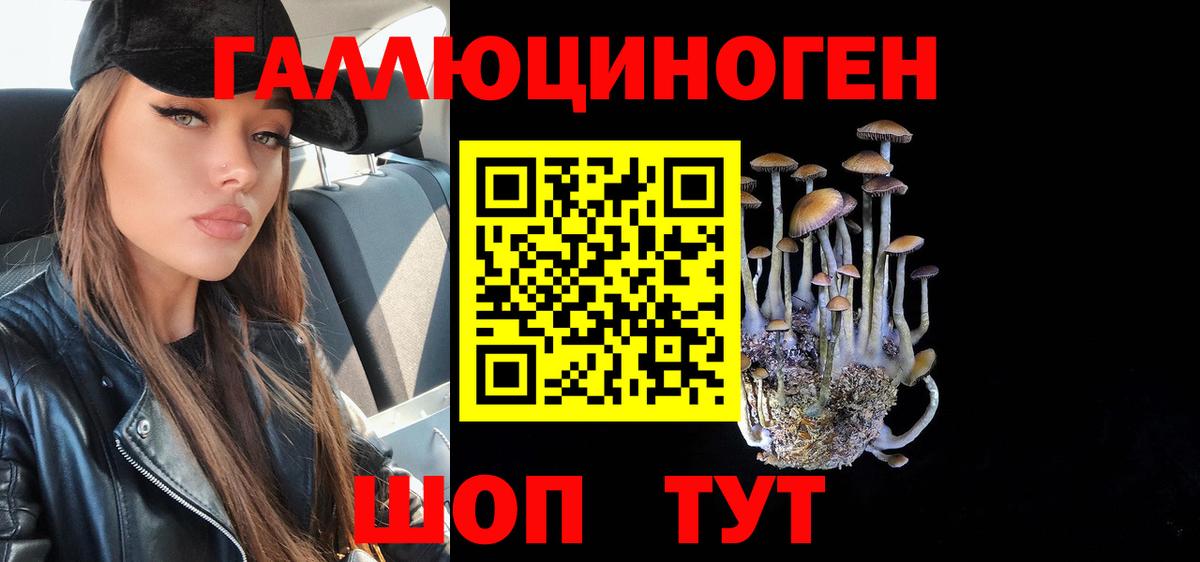 Псилоцибиновые грибы прущие грибы Артёмовский