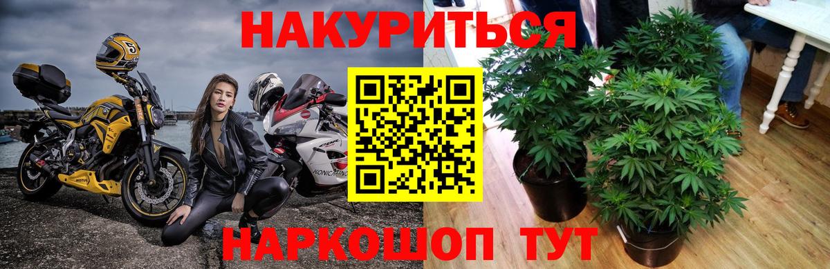 Конопля SATIVA & INDICA Артёмовский